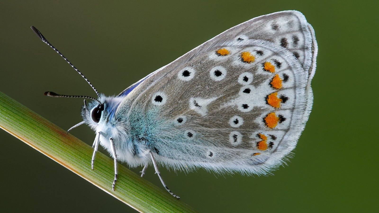 头条热搜榜:头条搜索不收录怎么办