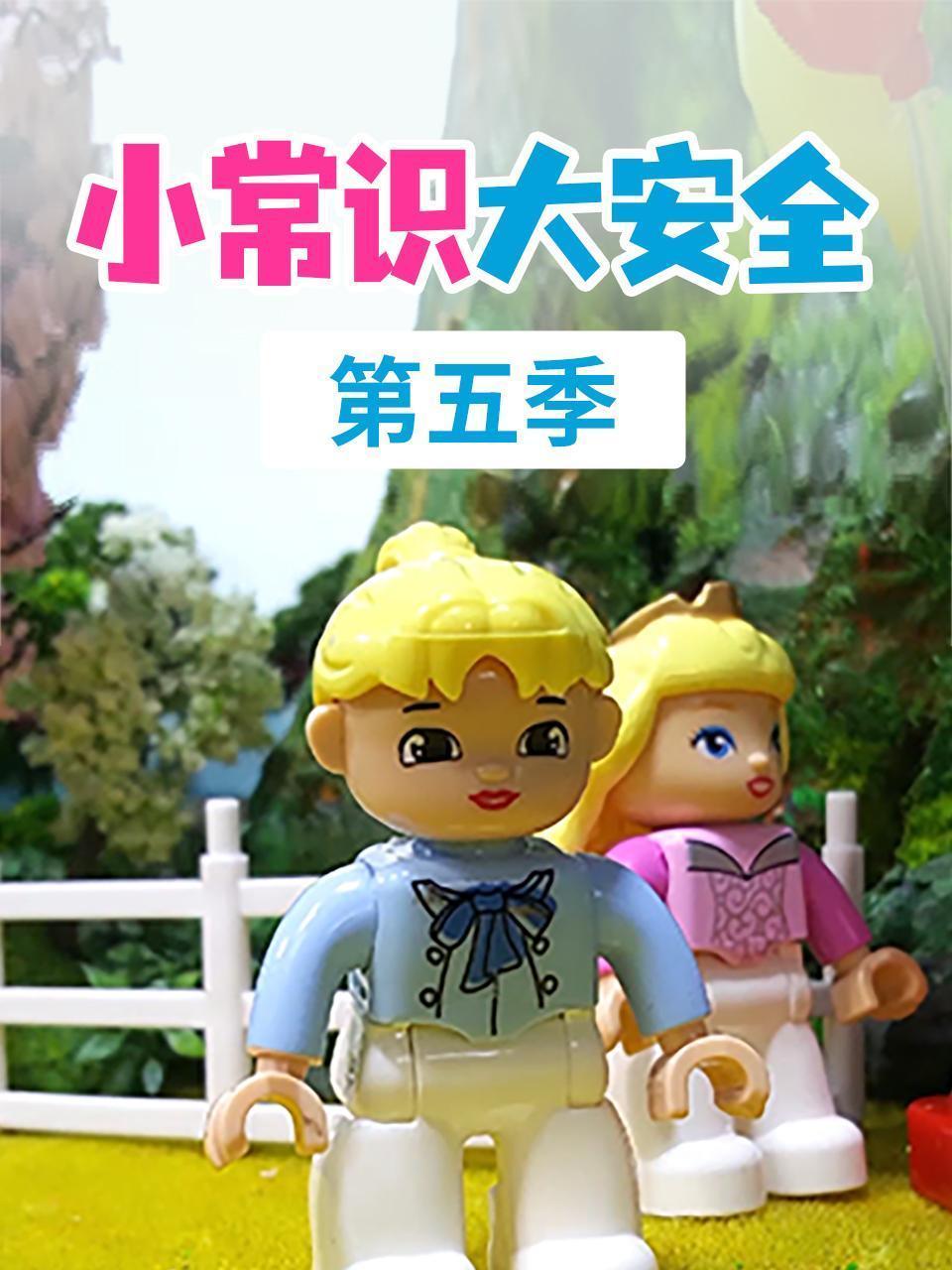 小常识大安全 第五季