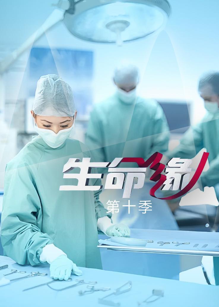生命缘第十季