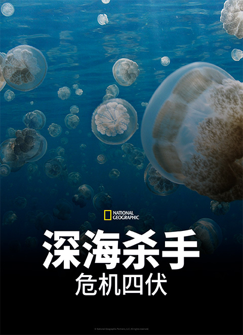 深海杀手：危机四伏（DEEP SEA KILLERS: INTO THE DEEP）