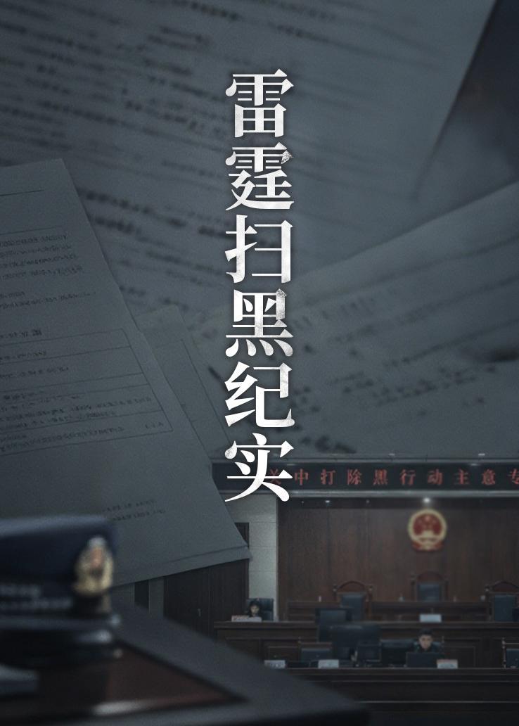 雷霆扫黑纪实