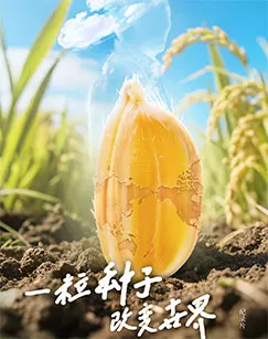 一粒种子改变世界