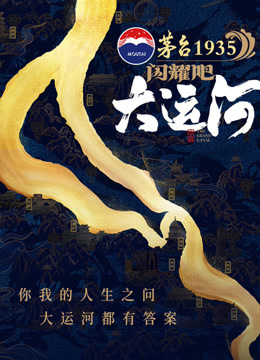 闪耀吧！大运河