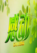 感动黑龙江卫视 2013