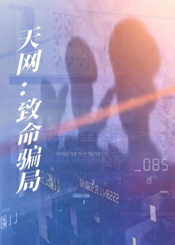 天网：致命骗局