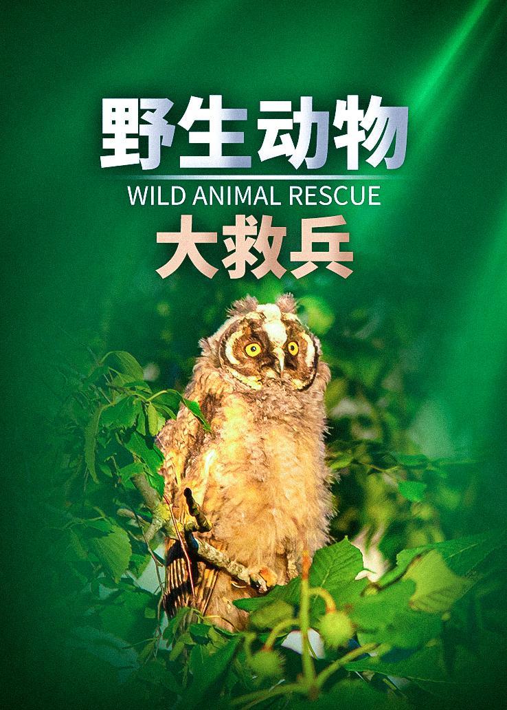 野生动物大救兵