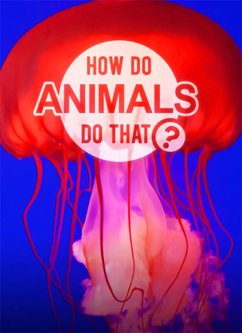 动物是如何做到的（How Do Animals Do That?）