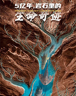 5亿年，岩石里的生命奇迹第一季
