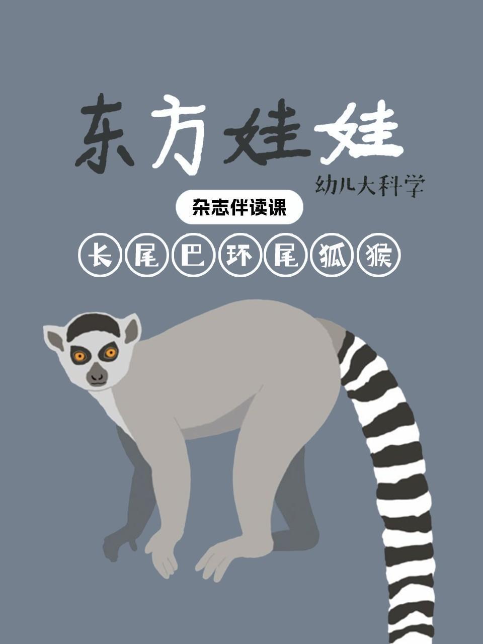 东方娃娃幼儿大科学：长尾巴环尾狐猴