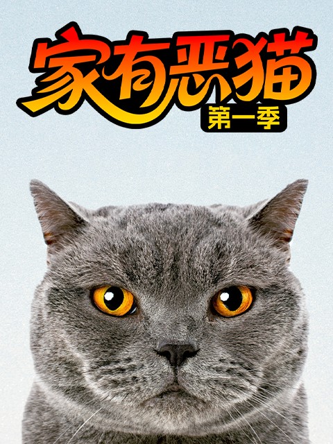 家有恶猫 第一季