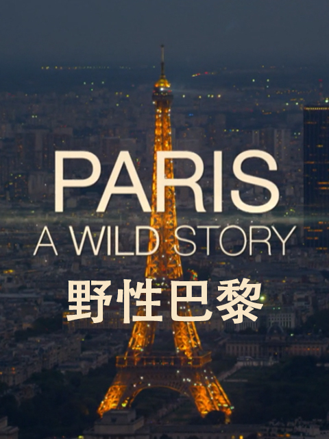 野性巴黎