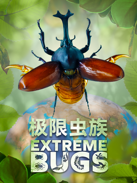 极限虫族