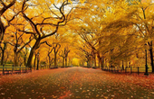一席谈：北京时间带您赏秋之美景