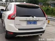养猪人别发愁了,今年做好这2点,就能发大财,养猪人莫错过
