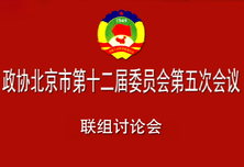 市政协委员联组讨论北京市人民政府工作报告