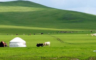 内蒙古 大美生态做文章