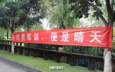 登录查看大图