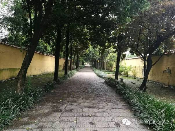 杀人犯16年漂白路:从扫地僧到住持、政协委员