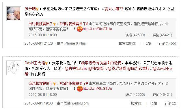 山东威海虐狗事件车主戚斌身份证电话住址曝光 系德成房地产股东 众明星愤怒谴责【图】