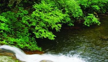 平山温泉