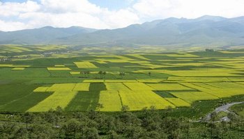 大通回族土族自治县