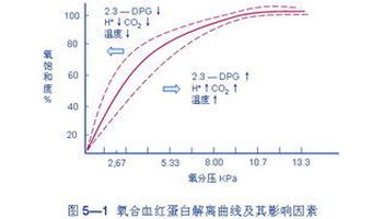 表示氧分压与血氧饱和度关系的曲线,称为氧解离曲线(oxygen