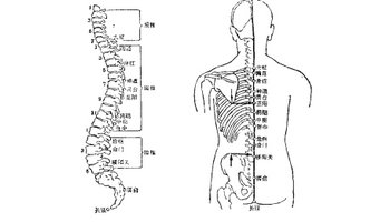 腰椎康组合