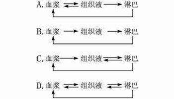 组织液来源于 360搜索
