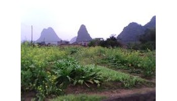 桂林市平乐县阳安乡雷峰村