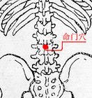 命门穴