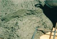 supply-1811692.jpeg supply-1811692.jpeg