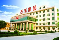 陕西石羊(集团)股份有限公司