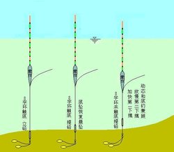 钓鱼技巧