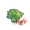 菠菜.png