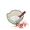 淀粉.png