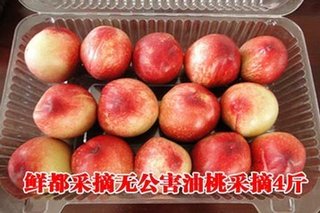 鲜都采摘无公害油桃采摘4斤【5折】_呼和浩特