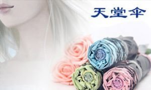 仅<em>38</em>元包邮!正品<em>天堂</em>伞3343E【4.3折】_网购