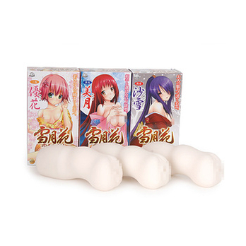 A-ONE日本原装进口 雪月花可怜<em>三姐妹动漫</em>系