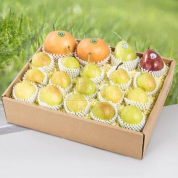 【天天果园】永不分梨套餐 \/新鲜水果组合\/香梨