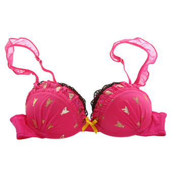 CRZ2014春新款女士纯棉蕾丝边<em>文胸</em>CD24JA