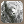 三贤的瓦兹强带框 icon.png