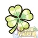 幸运四叶花 幸运四叶花