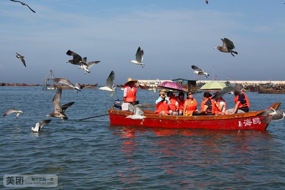 喂海鸥+海上垂钓+吃海鲜体验1次
