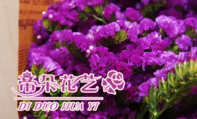 勿忘我花束1束,赠欧式包装外加1支南韩小熊