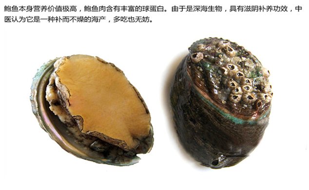 美鲍鱼_超极品美乳美鲍鱼_女人的鲍鱼-生活资讯网