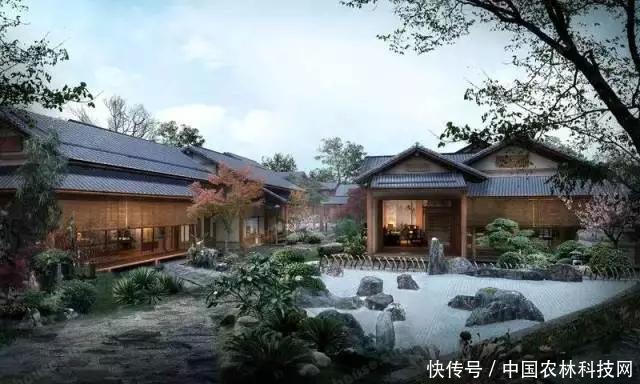 从无到有，年入6亿的特色小镇是如何炼成的？