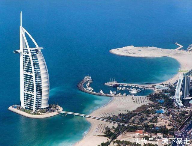 迪拜土豪的奢侈生活,狮子老虎当小猫养