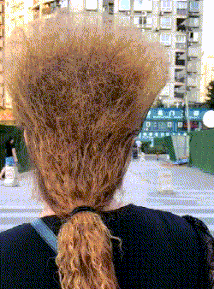 爆笑gif: 对于精彩的表演我从不鼓掌, 这次例外