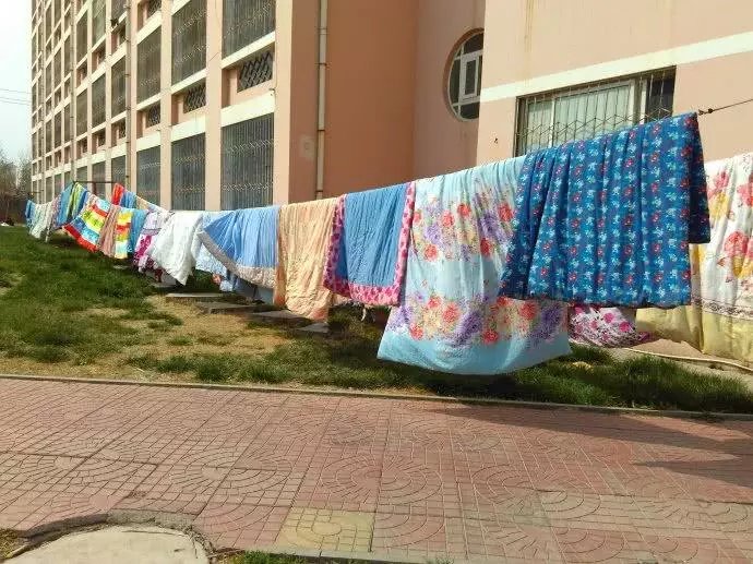 头发容易油可能是螨虫在作怪,学会这3招,轻松