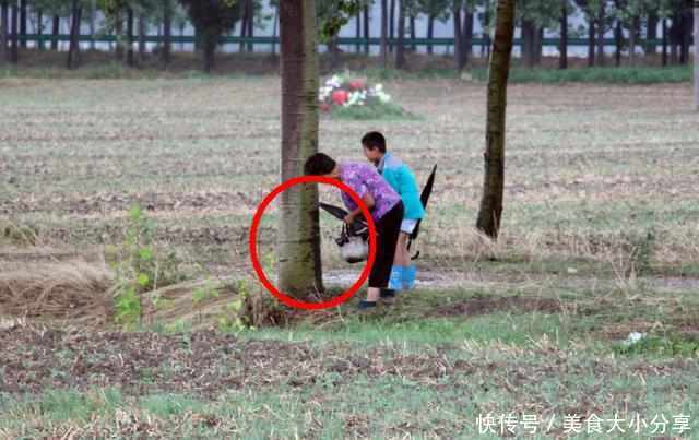 雨后收稀罕物，100元一斤，现在越来越少了，我们童年都玩过